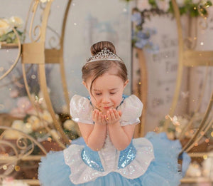 Inspiración Cenicienta