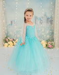 New Elsa Dress Deluxe