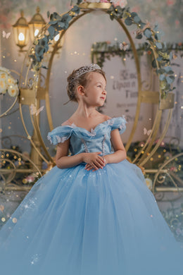 Cenicienta Butterfly Dress Deluxe