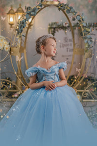 Cenicienta Butterfly Dress Deluxe