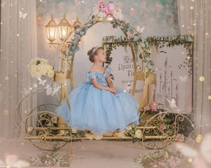 Cenicienta Butterfly Dress Deluxe