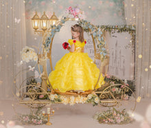 Bella y Bestia Deluxe Dress